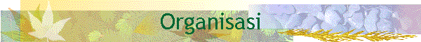 Organisasi