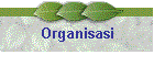 Organisasi