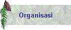 Organisasi