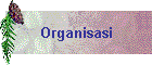 Organisasi