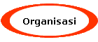 Organisasi